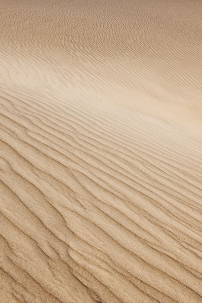 Sand dunes in the desert.