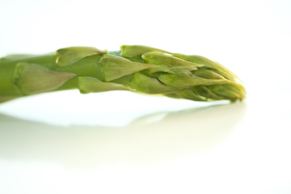 A spear of asparagus.