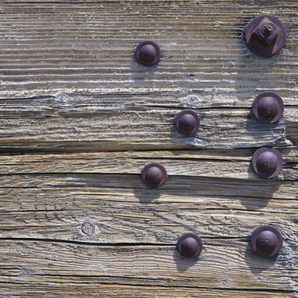 A wooden surface.
