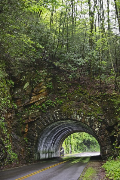 A scenic and empty road with tunnel.
