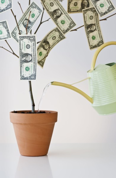 Money growing in a pot.