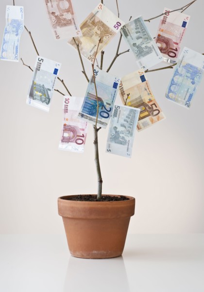 Money growing in a pot.