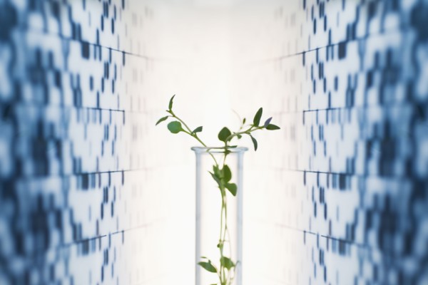 Vase against medical background.