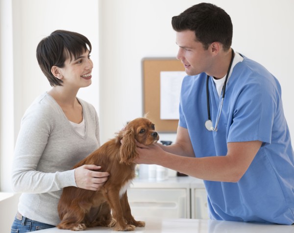 Vet and owner with dog.