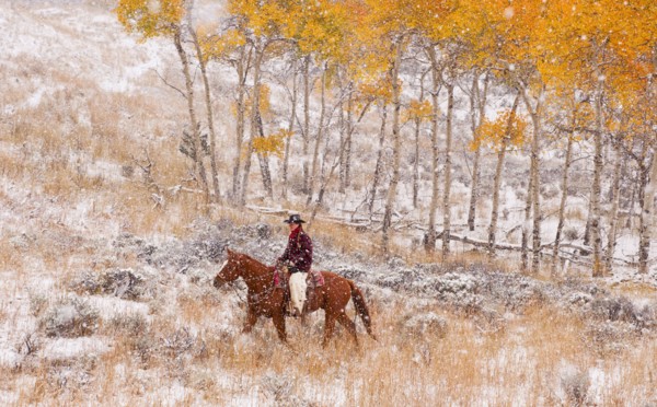 Horseback rider.
