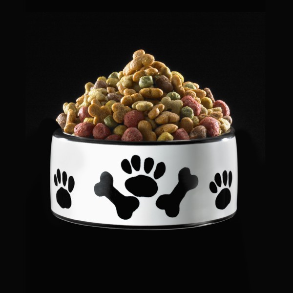 Bowl of dog food