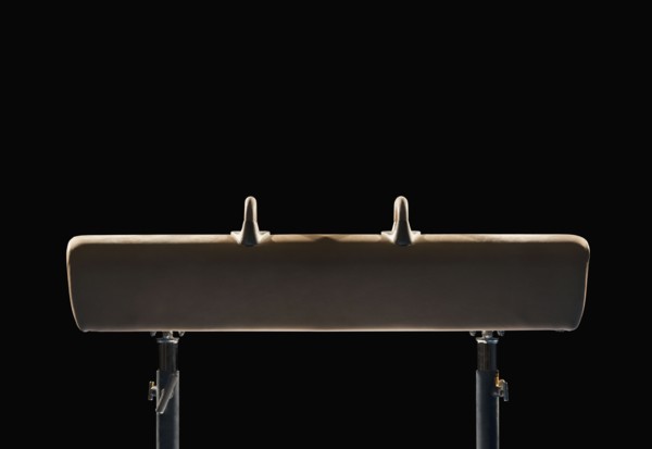 Pommel horse