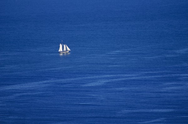 Sailboat in ocean