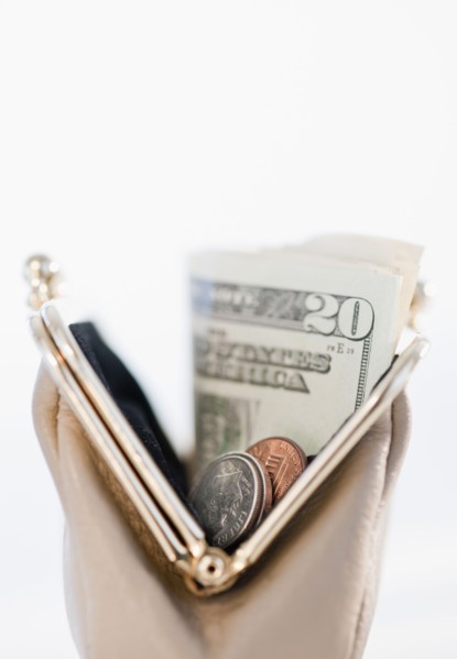 Money in change purse.