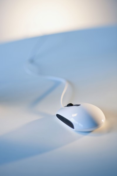 Computer mouse.