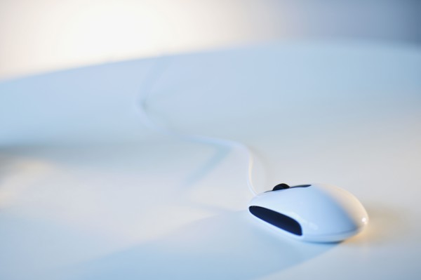 Computer mouse.