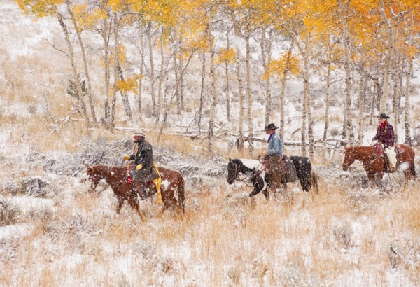Horseback riders.