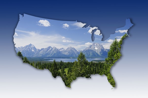 Landscape in shape of the United States.