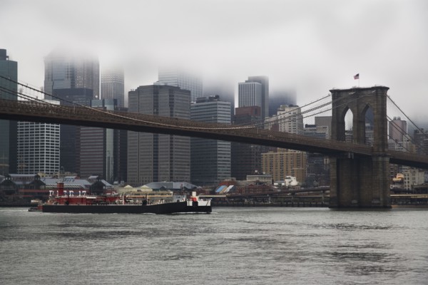 Bridge and cityscape