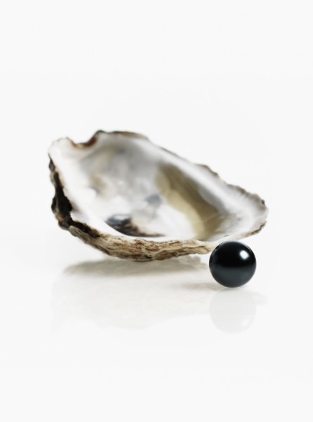 Oyster and pearl