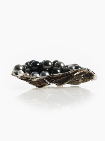 Oyster full of pearls