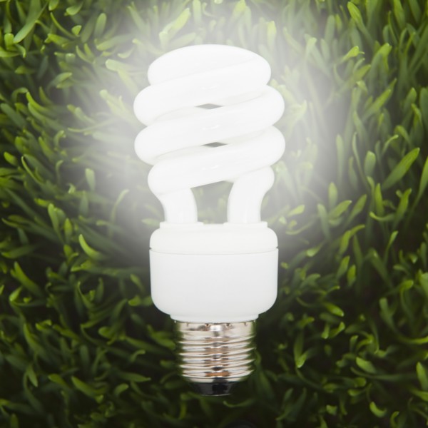 Flourescent light bulb in grass