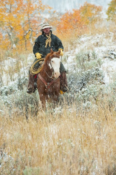 Horseback rider.