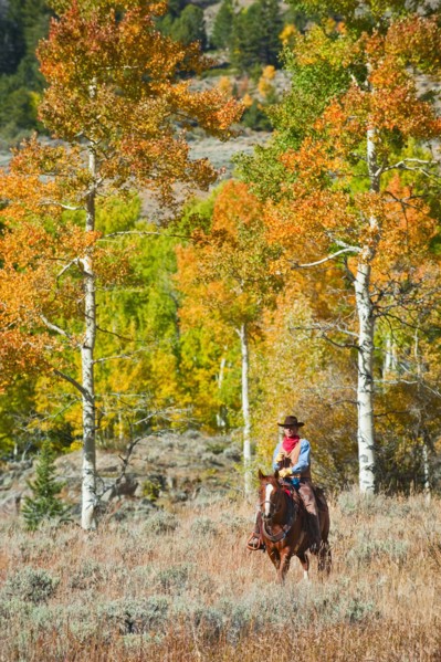 Horseback rider.