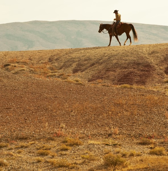 Horseback rider.
