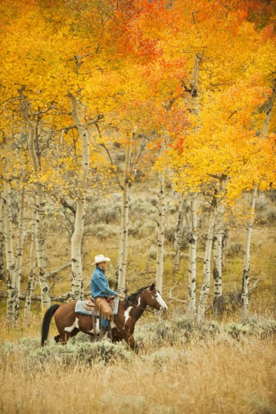 Horseback rider.