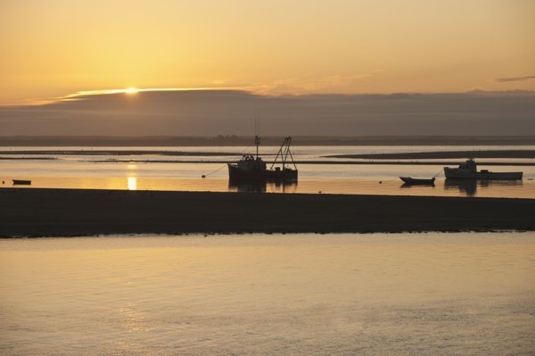 Fishing boats.