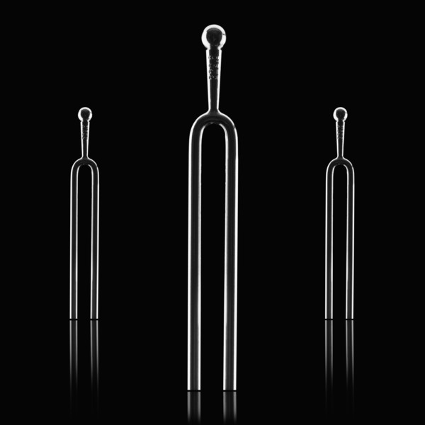 Tuning fork. Photographer: Mike Kemp