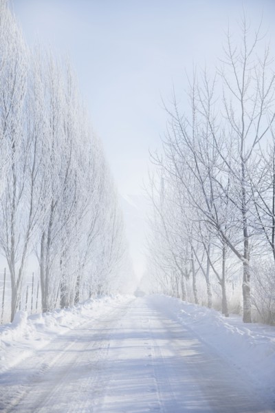 Rural road in winter. Photographer: Mike Kemp
