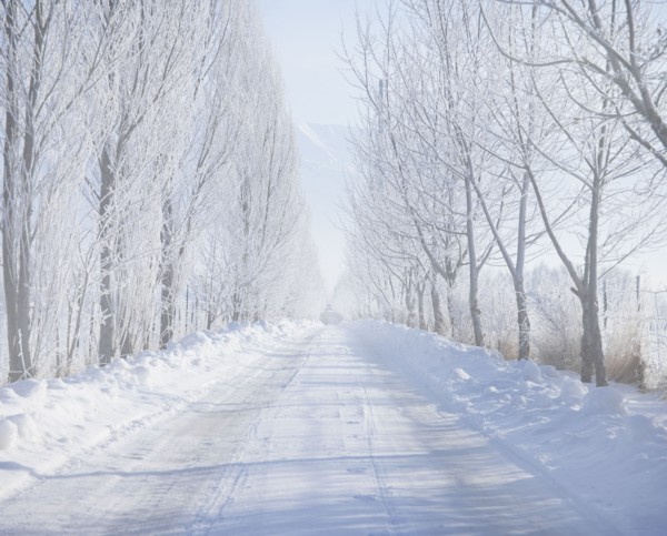 Rural road in winter. Photographer: Mike Kemp