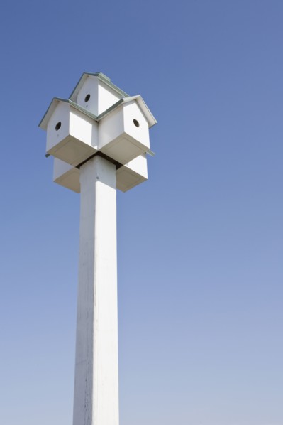 Bird houses. Photographer: Chris Hackett