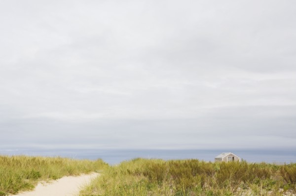 Path to the beach. Photographer: Chris Hackett