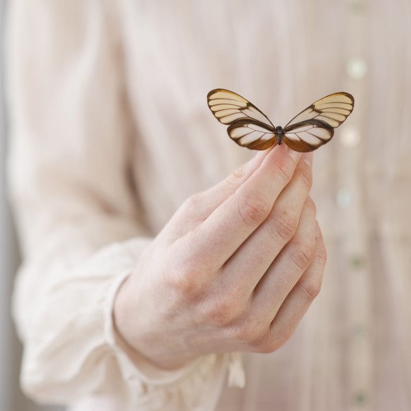 Hand holding butterfly.