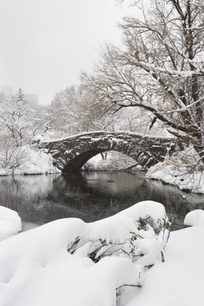 Lake and bridge in winter. Photographe : fotog