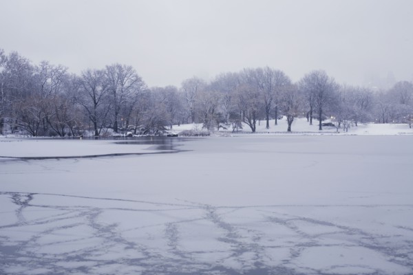 Central Park in winter. Photographe : David Engelhardt
