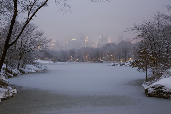 Central Park in winter. Photographe : David Engelhardt