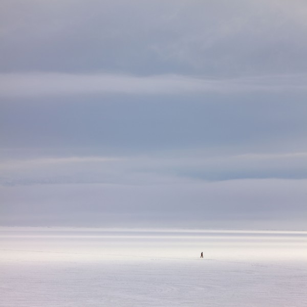 Snow covered field. Photographe : Mike Kemp