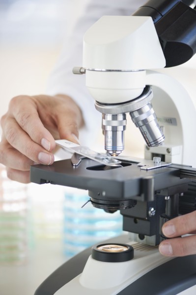 Hands on a microscope.