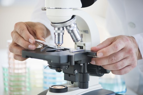 Hands on a microscope.