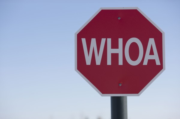 Stop sign with the word WHOA on it. Photo : Dan Bannister