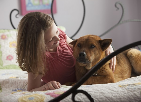 Young girl lying on bed with dog. Photo : Mike Kemp