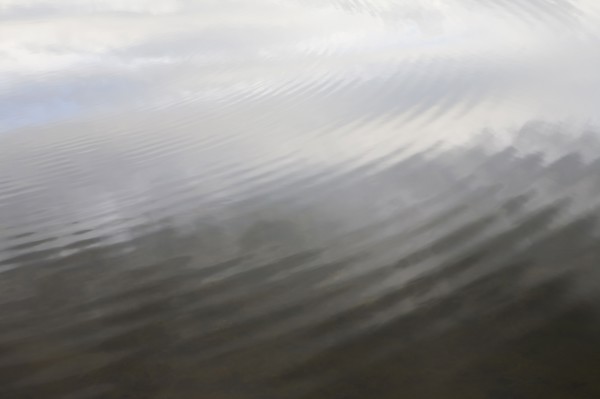 Ripples in water. Photo : Chris Hackett