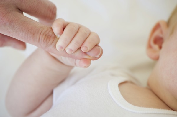 Infant holding onto adult's finger. Photo : Chris Grill