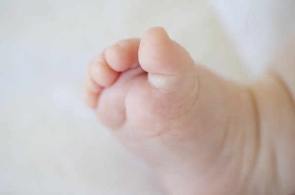 Infant's foot. Photo : Chris Grill