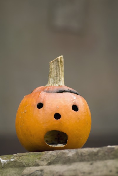 Small jack-o-lantern. Photo. Antonio M. Rosario