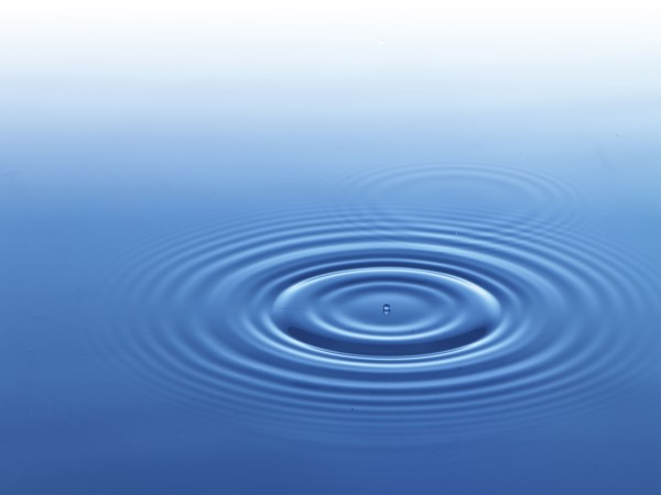 Ripples in water. Photo : David Arky