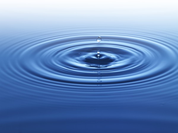 Ripples in water. Photo : David Arky