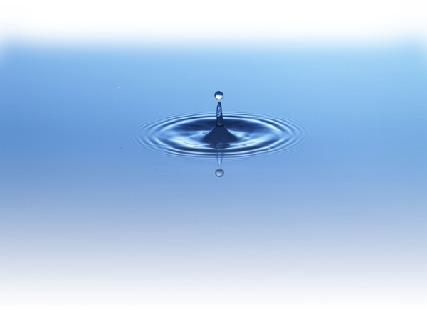Ripples in water. Photo : David Arky