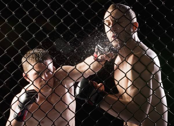 Cage fighters. Photo : Mike Kemp