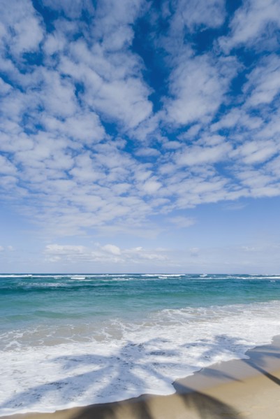 Caribbean beach. Photo : Antonio M. Rosario