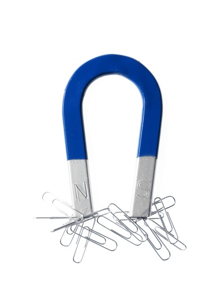 Magnet and paper clips. Photo. David Arky